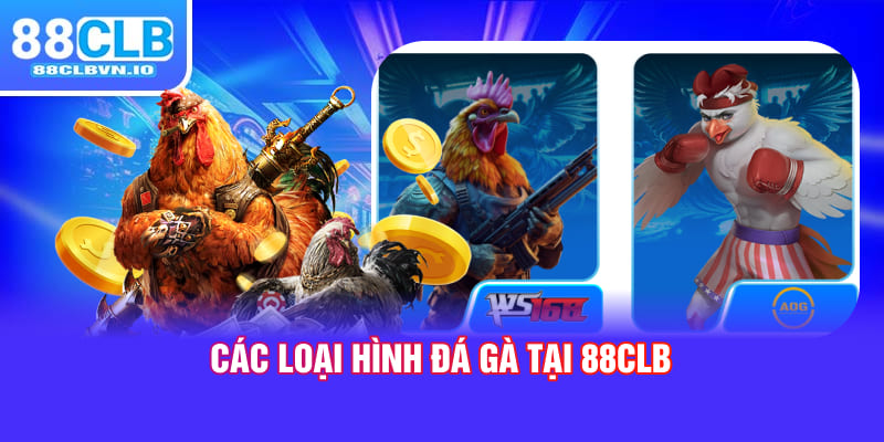 Các loại hình đá gà tại 88clb