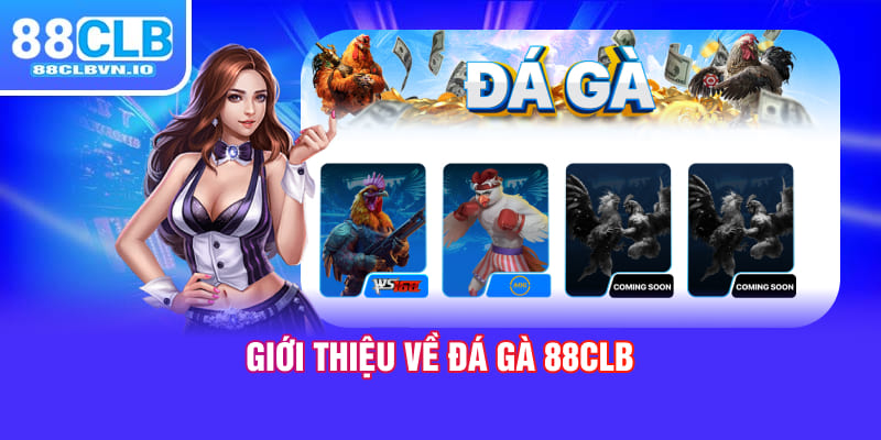 Giới thiệu về đá gà 88clb